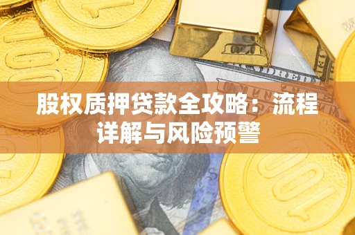北京股权质押贷款全攻略：流程详解与风险预警