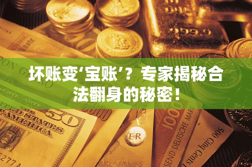 北京坏账变‘宝账’？专家揭秘合法翻身的秘密！