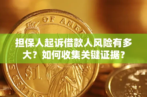 北京担保人起诉借款人风险有多大？如何收集关键证据？