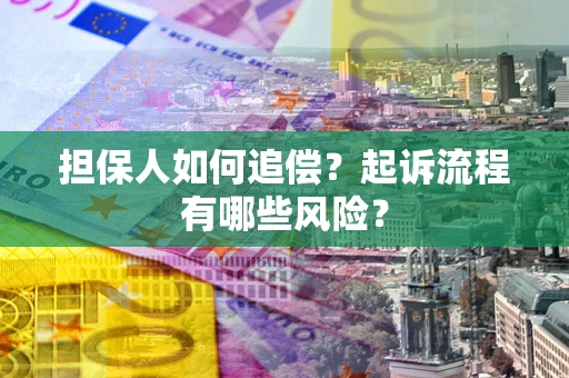 北京担保人如何追偿？起诉流程有哪些风险？