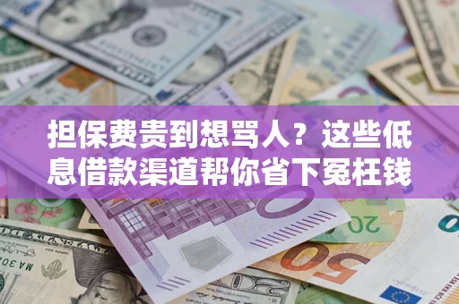 北京担保费贵到想骂人？这些低息借款渠道帮你省下冤枉钱