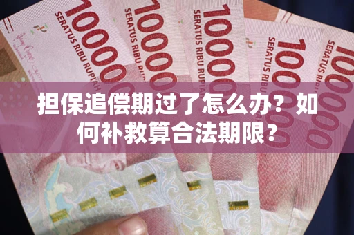 北京担保追偿期过了怎么办？如何补救算合法期限？