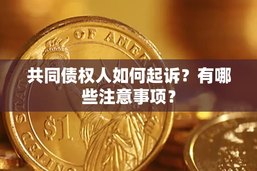 北京共同债权人如何起诉？有哪些注意事项？